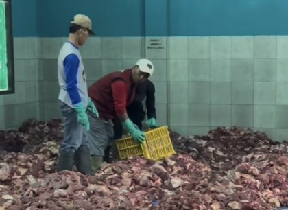 Desa Batur Banjarnegara 'Kebanjiran' 720 Hewan Kurban (Lambeturah.co.id)