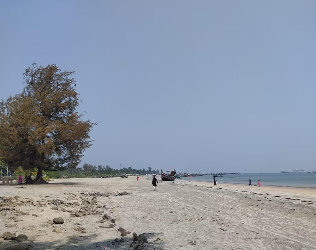 5 Fakta Seru Tentang Pantai Cemara Tuban, dari ATV hingga Sunset Instagramable