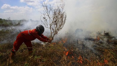 BMKG Deteksi 14 Hot Spot di Sumut, Cuaca Ekstrem Ancam Tapanuli dan Sekitarnya