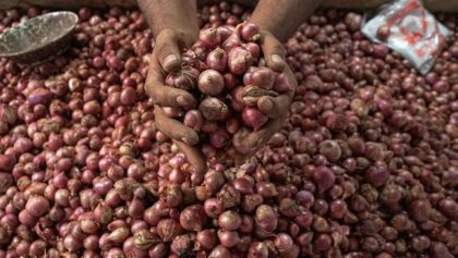 Bawang Merah Turun Drastis! Cek Daftar Harga Pangan Hari Ini
