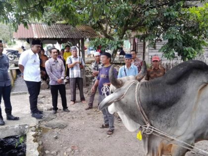 Wakil Wali Kota Padangsidimpuan Harry Pahlevi saat menyerahkan hewan kurban bantuan Presiden RI di Desa Joring Lombang jAngkola Julu, Kamis (5/6-25). Foto : BP/Ist