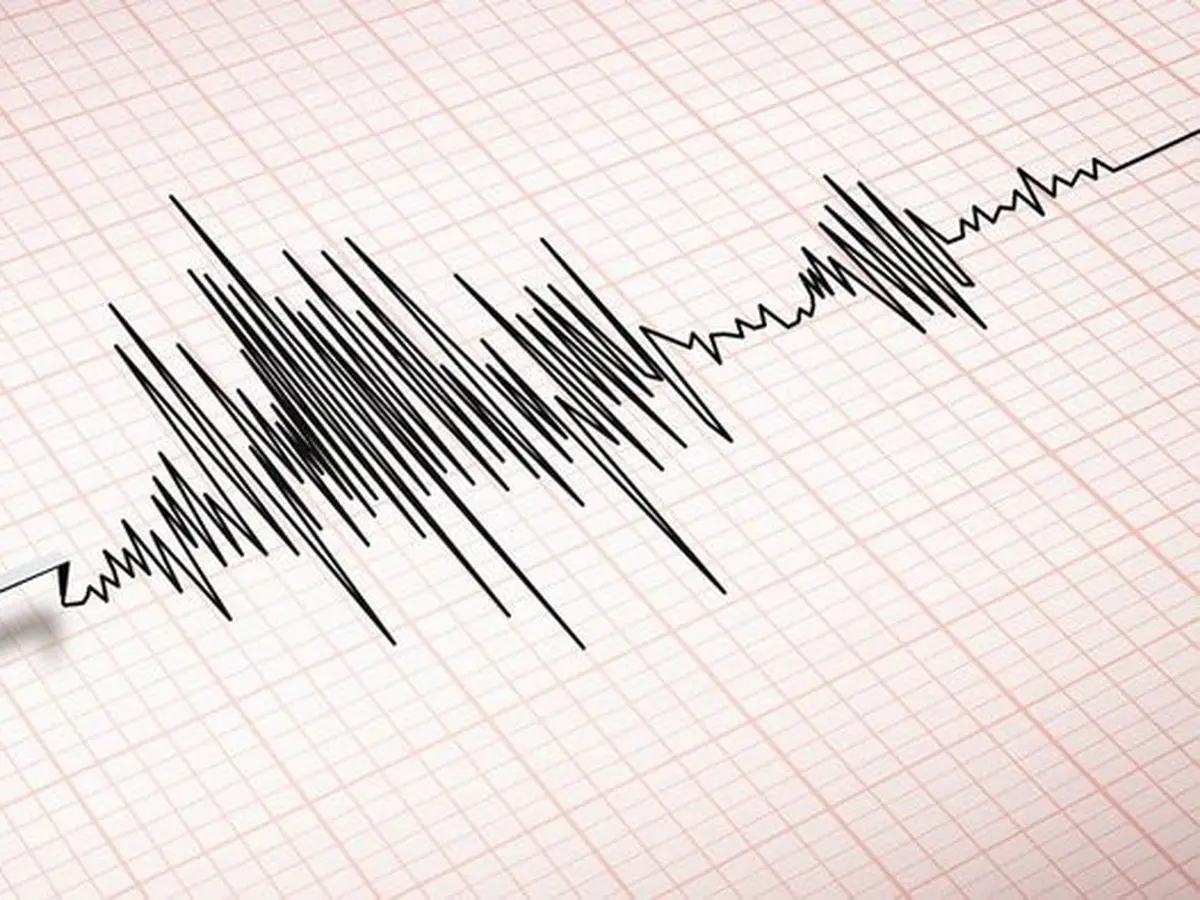 Gempa Beruntun Guncang Sulawesi Utara, BMKG: Tidak Berpotensi Tsunami