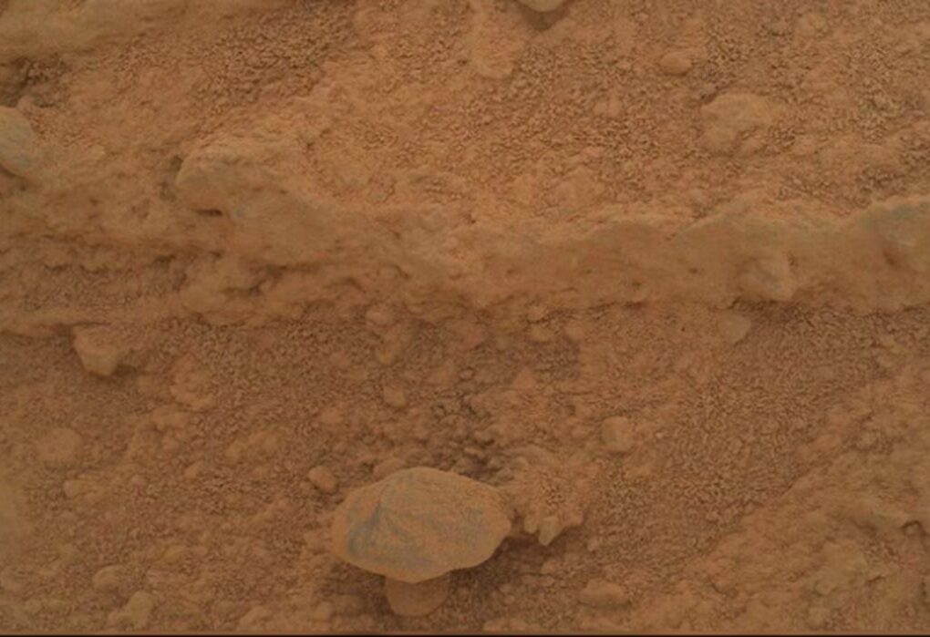 Penampakan Jamur di Mars Picu Spekulasi Kehidupan Asing, Ini Kata NASA dan Ilmuwan