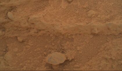 Penampakan Jamur di Mars Picu Spekulasi Kehidupan Asing, Ini Kata NASA dan Ilmuwan