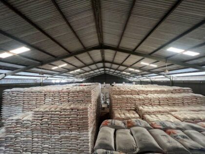 Produksi Beras Indonesia Tembus Rekor, Bukti Kuat Ketahanan Pangan Nasional