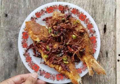 Sensasi Asam-Asin Pekasam, Makanan Tradisional yang Bikin Lidah Ketagihan!