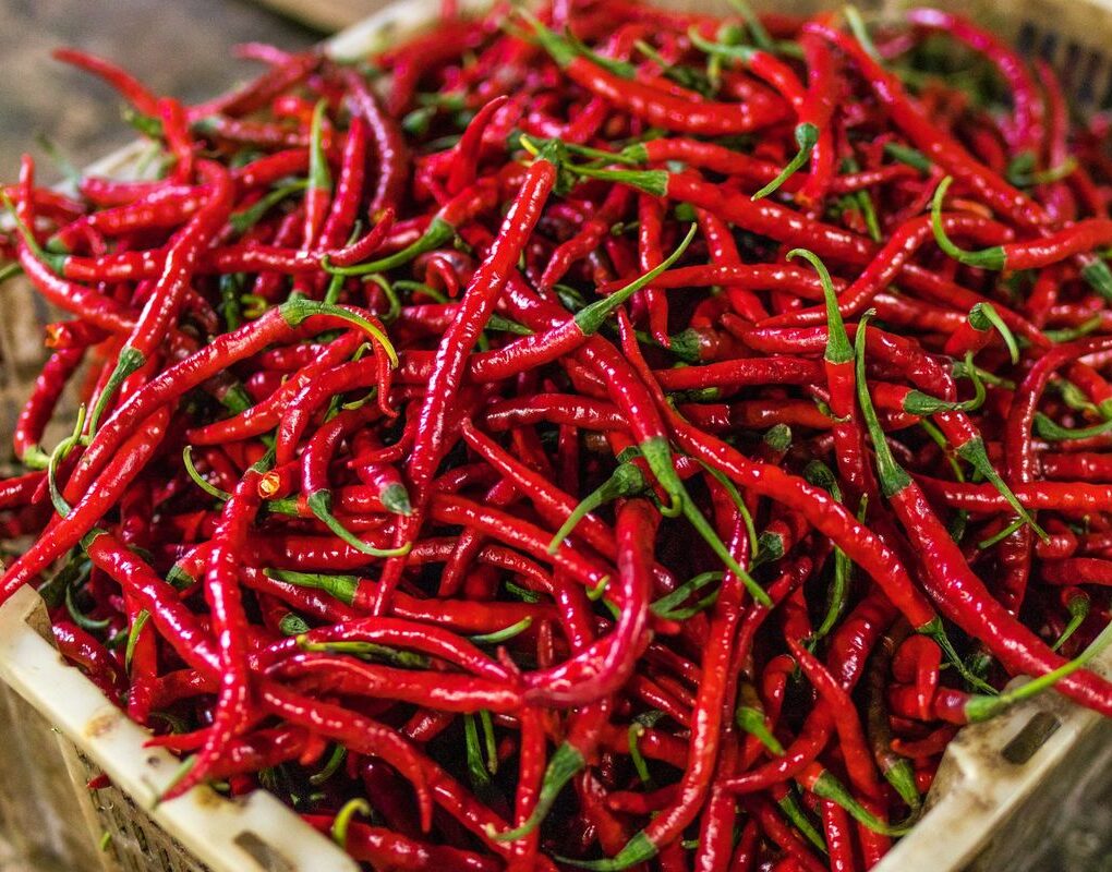 Turun Lagi! Daging Ayam, Cabai Merah, dan Beras Premium Kian Terjangkau