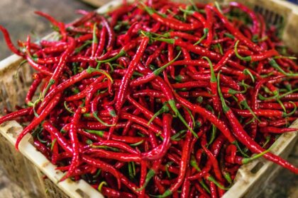 Turun Lagi! Daging Ayam, Cabai Merah, dan Beras Premium Kian Terjangkau
