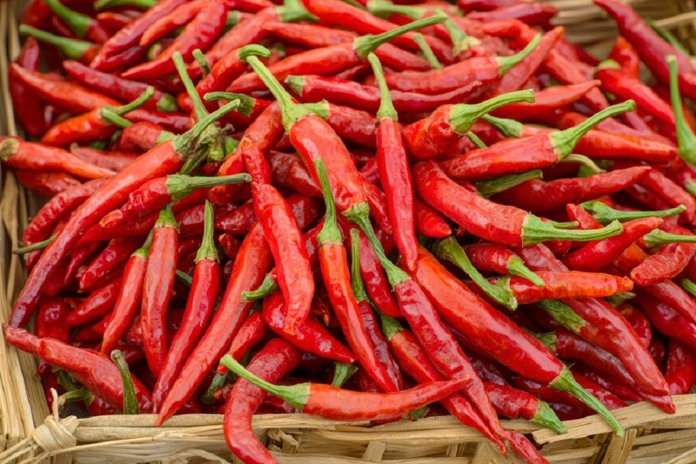 Update Harga Pangan Nasional, Cabai dan Minyak Goreng Turun Tipis