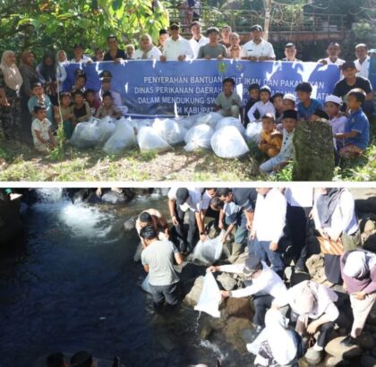 Bupati Tapanuli Selatan (Tapsel) H Gus Irawan Pasaribu dan rombongan saat membagikan bibit ikan dan menabur benih ikan di lubuk larangan Pokdakan, Rabu (11/6-25). Foto Kolase : BP/Ist