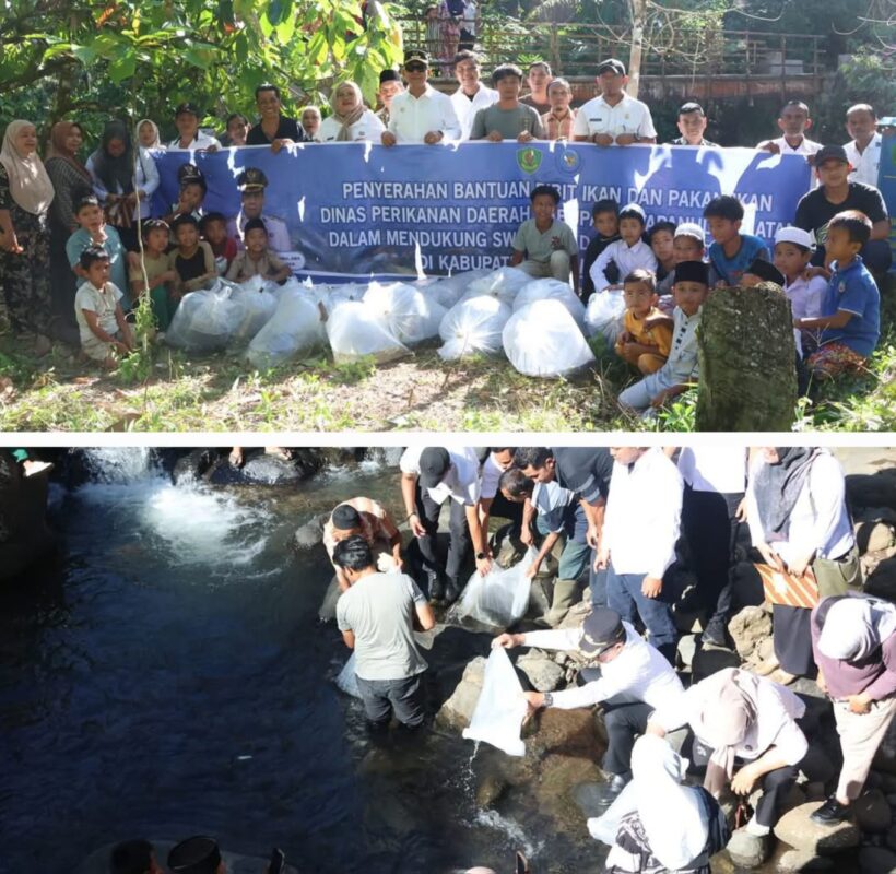 Bupati Tapanuli Selatan (Tapsel) H Gus Irawan Pasaribu dan rombongan saat membagikan bibit ikan dan menabur benih ikan di lubuk larangan Pokdakan, Rabu (11/6-25). Foto Kolase : BP/Ist