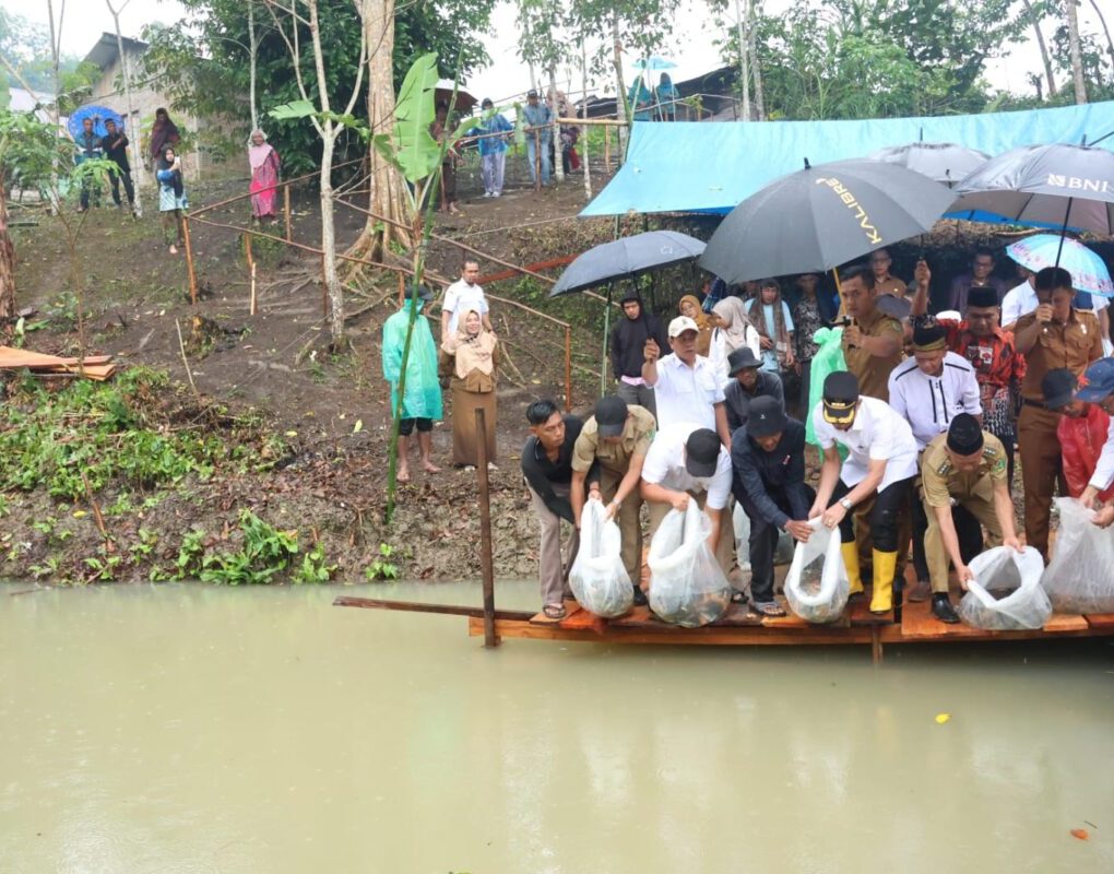 Bupati Tapsel H Gus Irawan Pasaribu saat menabur bibit ikan di kolam Pokdakan Desa Lancat Julu Arse, Senin (16/6-25). Foto : BP/Ist