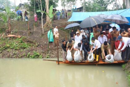 Bupati Tapsel H Gus Irawan Pasaribu saat menabur bibit ikan di kolam Pokdakan Desa Lancat Julu Arse, Senin (16/6-25). Foto : BP/Ist