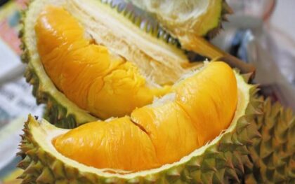 Durian Premium, Inilah Daftar 5 Durian Termahal di Dunia