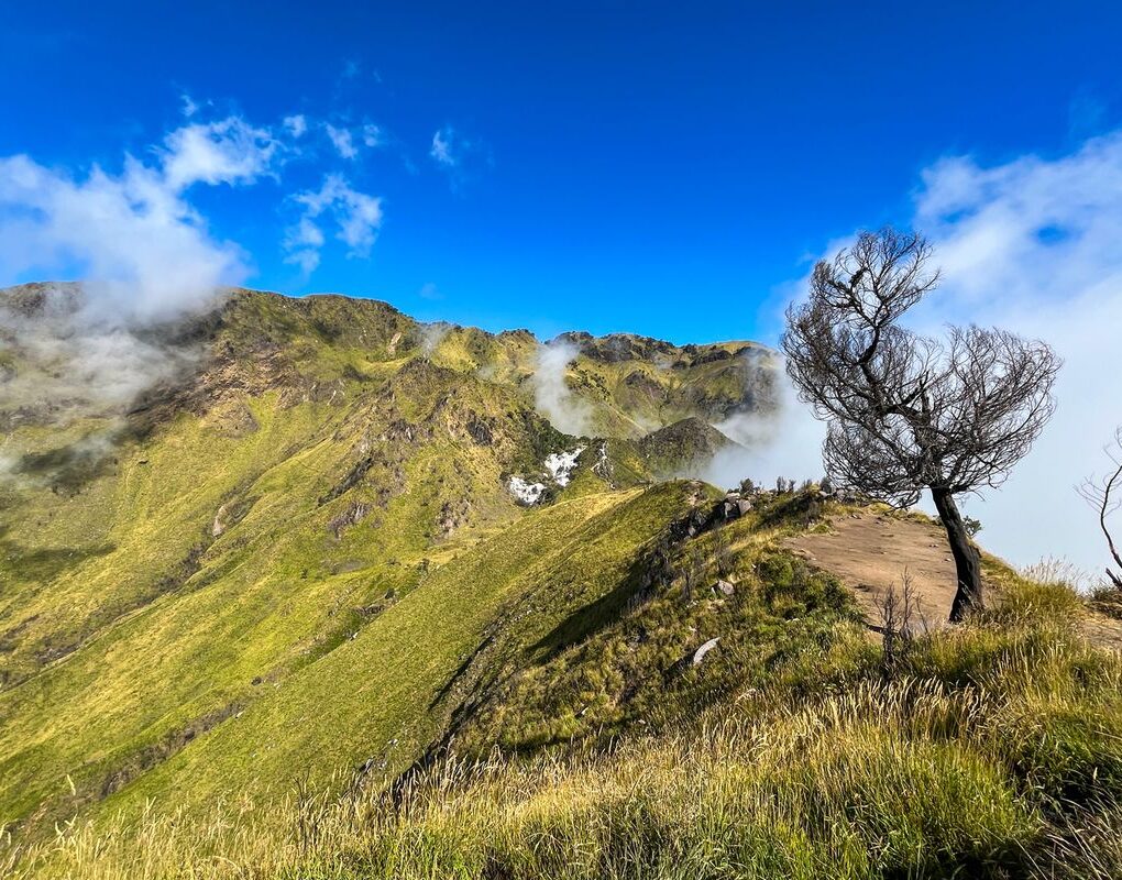 Lahan Camp Gunung Merbabu Diduga Dikuasai Operator Wisata, Pendaki Protes!