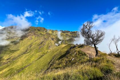Lahan Camp Gunung Merbabu Diduga Dikuasai Operator Wisata, Pendaki Protes!