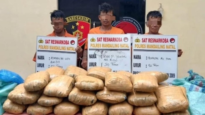Tiga Kurir Ditangkap Saat Jemput Ganja di Madina, Polisi Sita 36 Bal Ganja