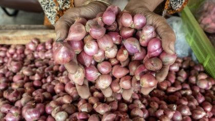 Update Harga Pangan Nasional: Bawang Merah dan Minyak Goreng Mulai Turun
