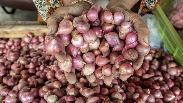 Update Harga Pangan Nasional: Bawang Merah dan Minyak Goreng Mulai Turun