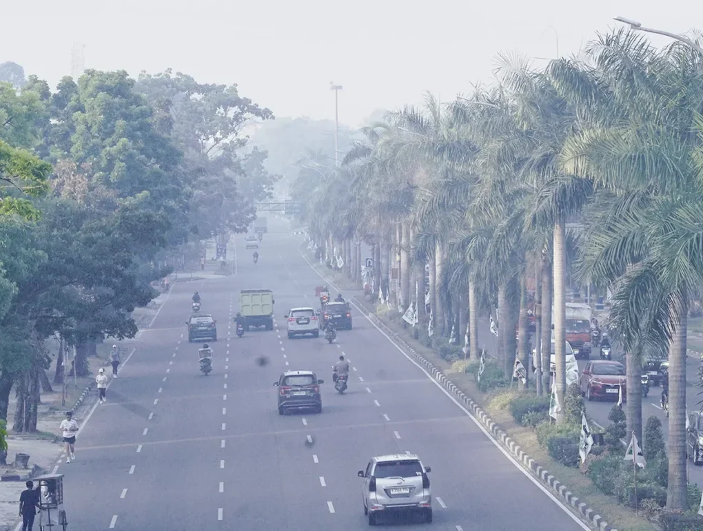 KLHK Segel Perusahaan Akibat Kebakaran Lahan di Riau, Dua Perusahaan Bantah Konsesi