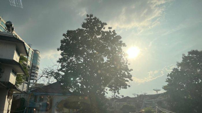 BMKG Catat Suhu Harian Tertinggi di Indonesia Capai 37,8 Derajat