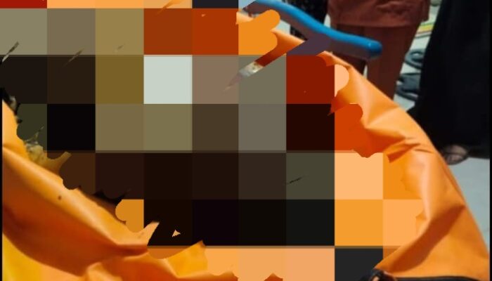 Jasad Siswi Ditemukan Tanpa Busana di Kebun Sawit Mandailing Natal, Pelaku Sudah Ditangkap