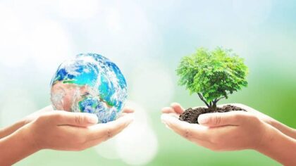 Peran Dinas Lingkungan Hidup dalam Menjaga Kelestarian Daerah